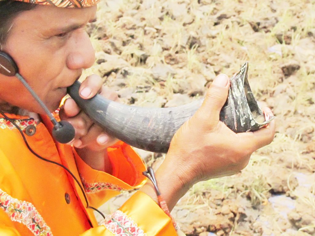 pupuik tanduak terbuat dari tanduk kerbau yang besar. sumber: indonesiakaya.com