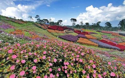 Liburan Ala Pegunungan Eropa? Coba Dulu Alahan Panjang, Solok!